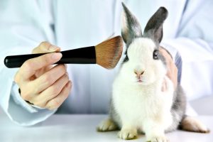 Colombia to raise awareness of animal testing ban