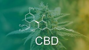 Portugal’s Infarmed Faces EU Law Clash Over CBD-Infused Cosmetics